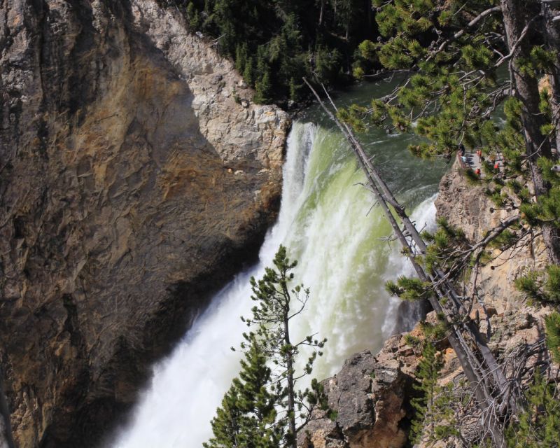 Jackson Hole: Yellowstone Lower Loop Upper Loop 2-Day Tour - Tour Experience