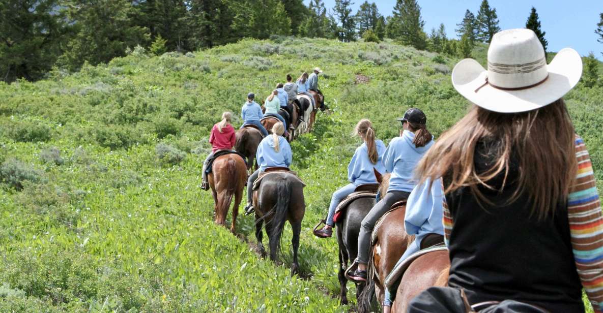 Jackson Signature 1/2 Day Ride Horseback Tour With Lunch - Important Information