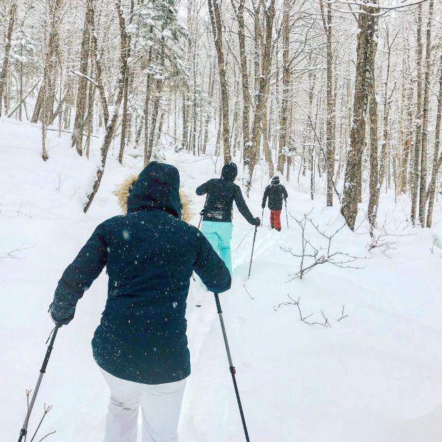 Jacques-Cartier National Park: Skiing Excursion - Booking Details