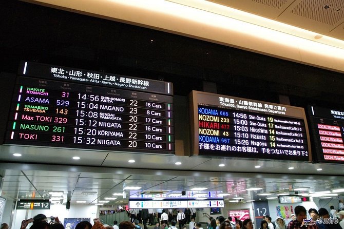 Japan Railway Station Shared Arrival Transfer : Tokyo Station to Tokyo City - What To Expect During Transfer