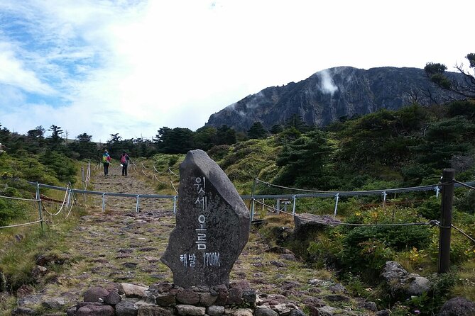 Jeju Island Private Taxi Hallasan Hiking Trail Transfer - One Way - Contact Information for Queries