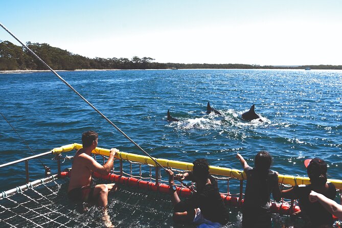 Jervis Bay Boom Netting and Dolphins Tour - Customer Reviews and Feedback