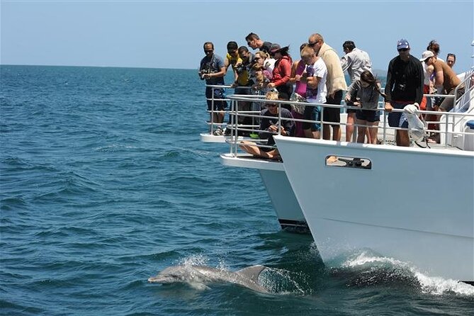 Jervis Bay Dolphin Cruise - Catamaran Features and Views