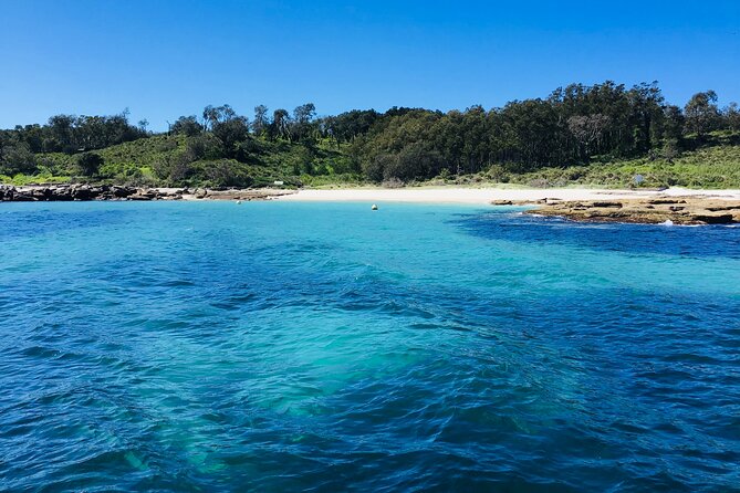 Jervis Bay Passage Tour - Traveler Testimonials