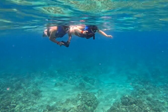 Jet Snorkeling in Turtle, Dolphin and Monk Seal Bay - Booking Information and Requirements
