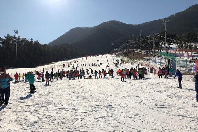 Jisan Ski Resort Everland One Day Tour - Skiing and Snow Activities
