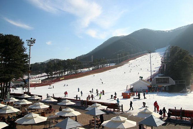 Jisan Ski Resort Serving Breakfast From Seoul (No Shopping) - Ski Resort Information