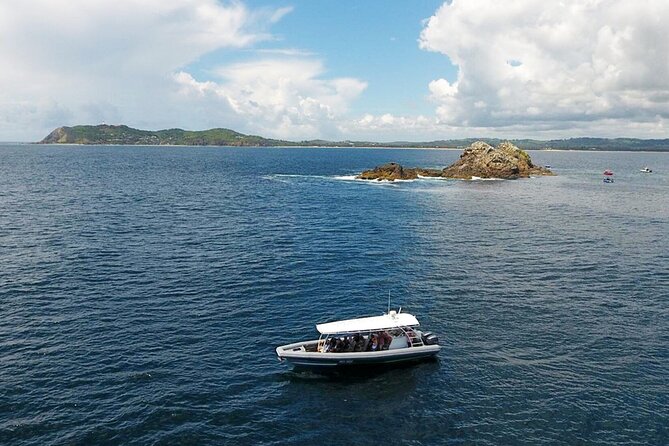 Julian Rocks Byron Bay: Coastal Discovery Cruise - Customer Feedback Insights