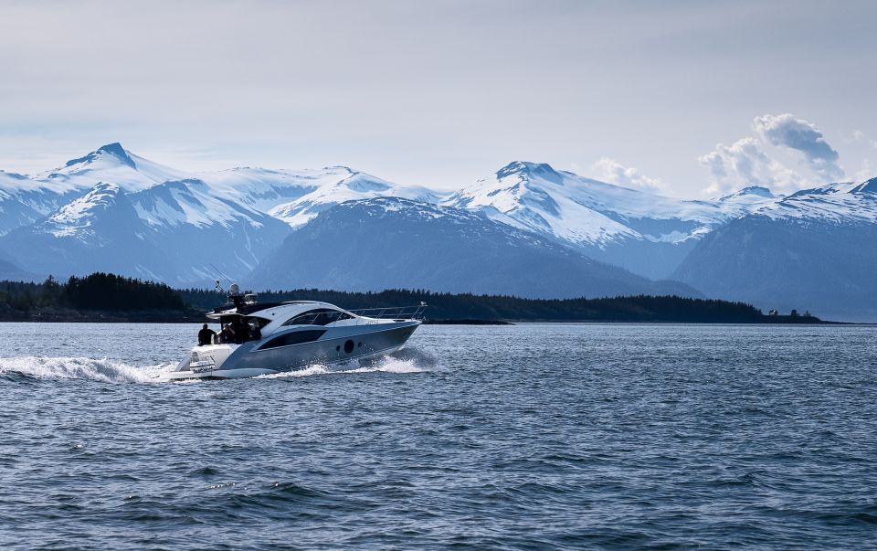 Juneau: All Inclusive Luxury Whale Watch - Whale Watching Adventure