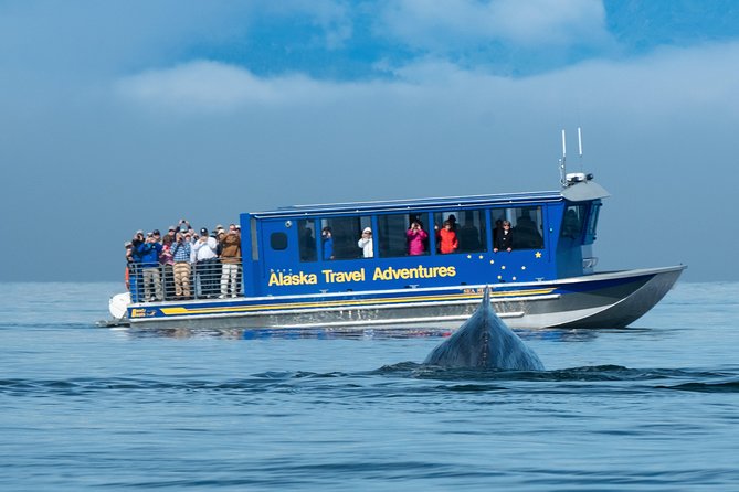 Juneau Whale Watching and Salmon Bake - Tour Inclusions