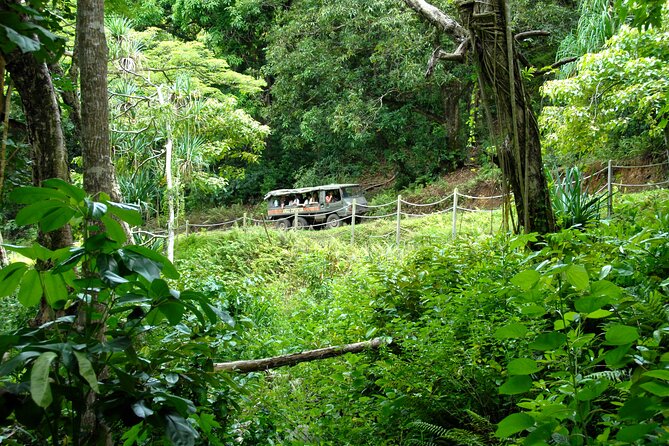 Jungle Expedition Tour at Kualoa Ranch - Language and Vehicles