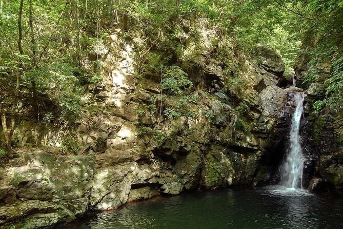 Jungle River Trek: Private Tour in Yanbaru, North Okinawa - Tour Confirmation and Refund Policy