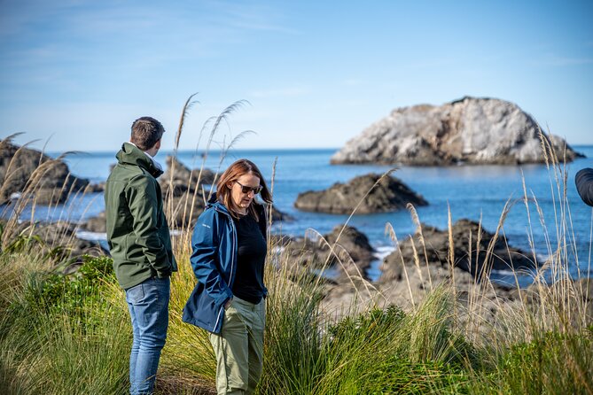 Kaikoura Day Tour With Dolphin Encounter From Christchurch - Itinerary Overview