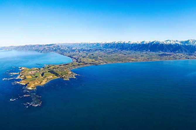 Kaikoura Helicopters Classic Whale Watch - Inclusions and Features