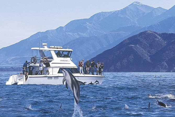 Kaikoura Swim With Dolphins Tour From Christchurch - Cancellation Policy