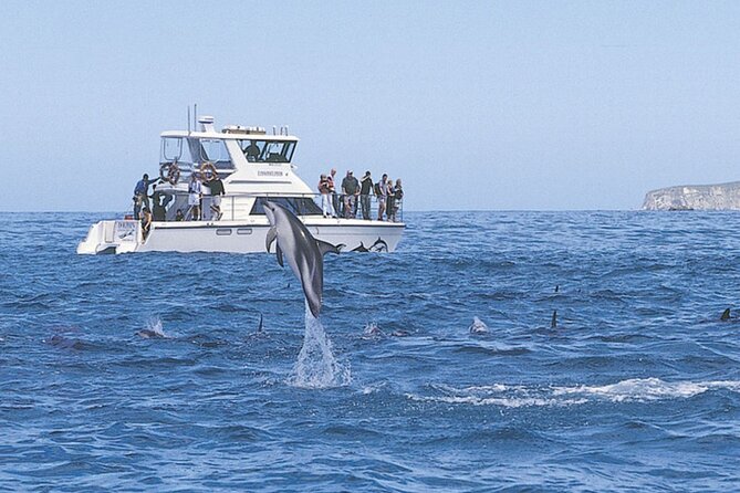 Kaikoura Whale and Dolphin Overnight Tour From Christchurch - Accessibility and Requirements