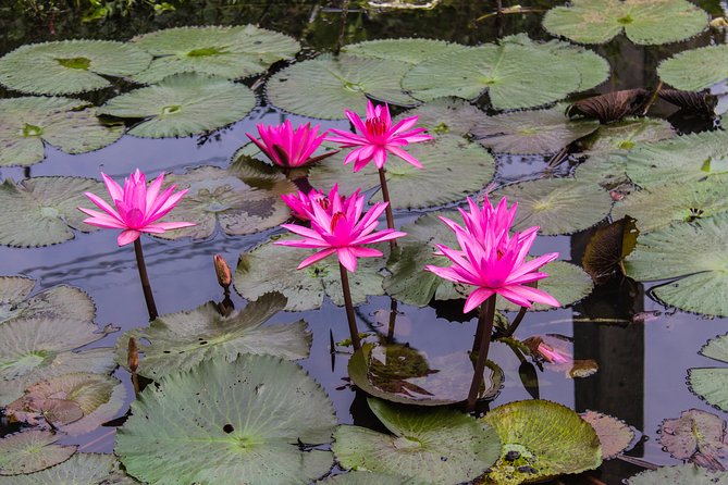 Kakadu, Nourlangie and Yellow Waters Tour From Darwin - Traveler Feedback and Reviews