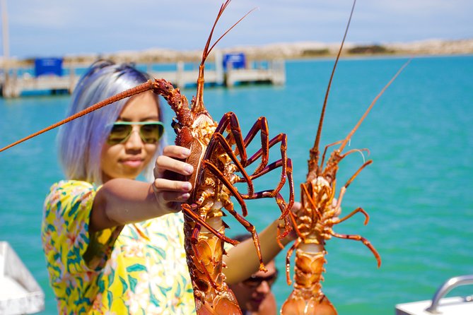 Kalbarri Rock Lobster Pot Pull Tour in Kalbarri - What to Expect