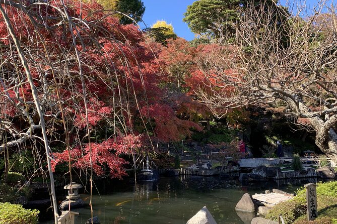 Kamakura Flower Tour - Top Flower Viewing Spots