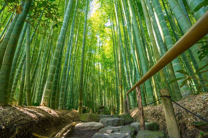 Kamakura Tour - Traveler Experience