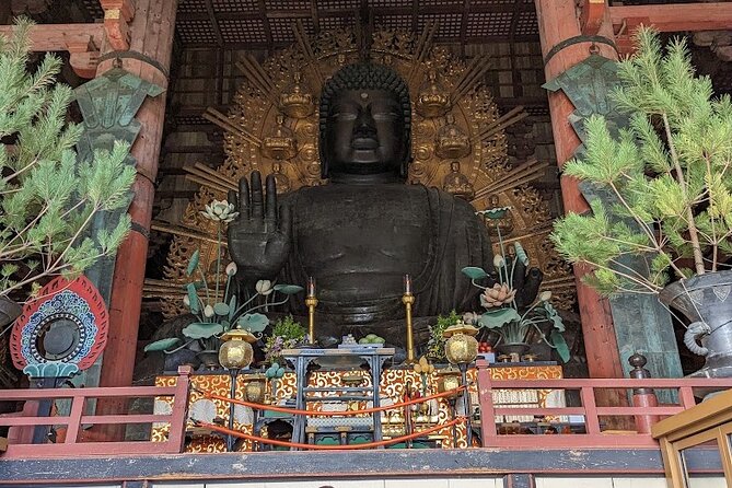 Kansai Adventure: Discovering Nara Private Guided Tour - Expert Local Guides and Insights
