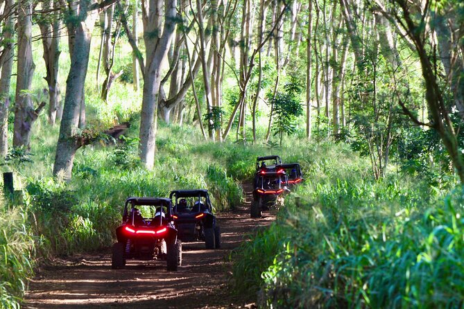 Kauai ATV Backroads Adventure Tour - Tour Guide Experience and Recommendations