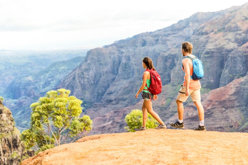 Kauai: Full-Day Waimea Canyon & Wailua River Tour - Experience Highlights