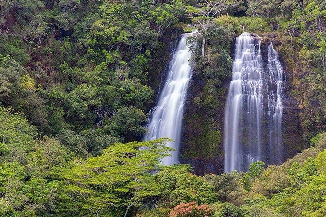 Kauai Movie Adventure Tour - Incidents and Concerns