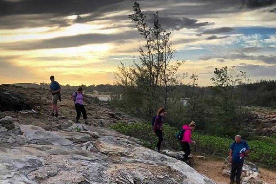 Kauai: Private Tortoises, Caves, and Cliffs South Shore Hike - Experience Highlights