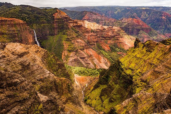 Kauai Waimea Canyon and Forest Tour With Lunch - Scenic Vista Points and Photo Ops