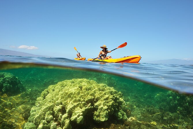 Kayak and Snorkel: Maui West Shore - Logistics and Meeting Point