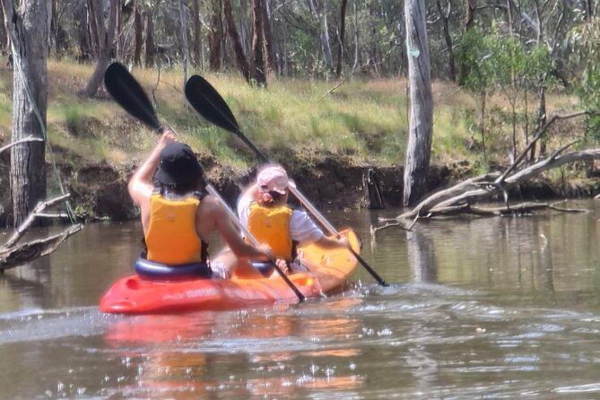 Kayak Self-Guided Tour on the Campaspe River Elmore, 30 Minutes From Bendigo - Tour Requirements
