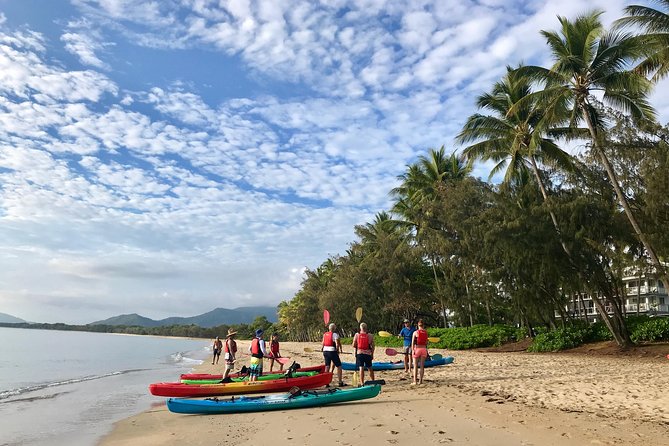 Kayak Turtle Tour From Palm Cove - Requirements & Expectations