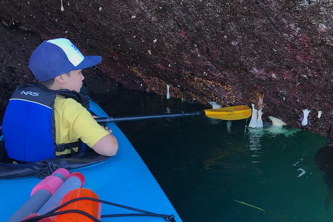 Kayaking in Deception Pass State Park - Inclusions