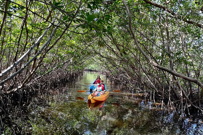 Kayaking Tour of Mangrove Tunnels in South Florida  - Fort Lauderdale - Customer Reviews