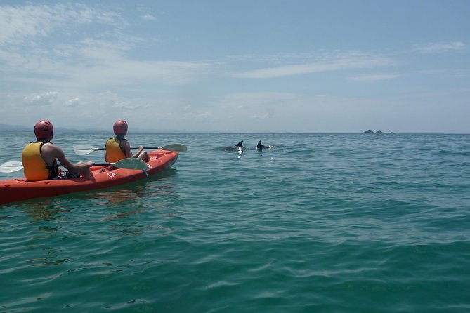 Kayaking With Dolphins in Byron Bay Guided Tour - Booking and Cancellation Policy