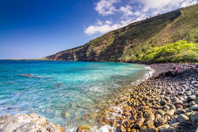 Kealakekua Bay and Captain Cook Monument Snorkel - Small-Group Experience - Inclusions and Requirements