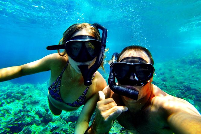 Kealakekua Bay Captain Cook Snorkel Exclusive - Unforgettable Captain Cook Monument Exploration