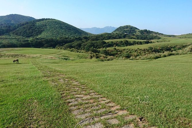 Keelung Shore Excursion: Yangmingshan Hot Spring and Wild Vegetable Cuisine Tour - Itinerary Options