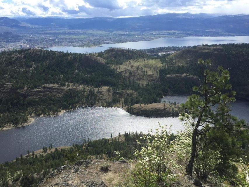 Kelowna: Guided Hiking Tour - Tour Highlights