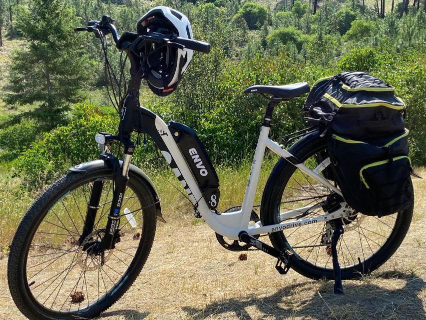 Kelowna: Okanagan Lake Guided E-Bike Tour With Picnic - Booking Information