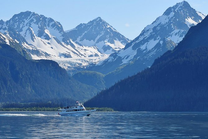 Kenai Fjords and Resurrection Bay Half-Day Wildlife Cruise - Departure Details