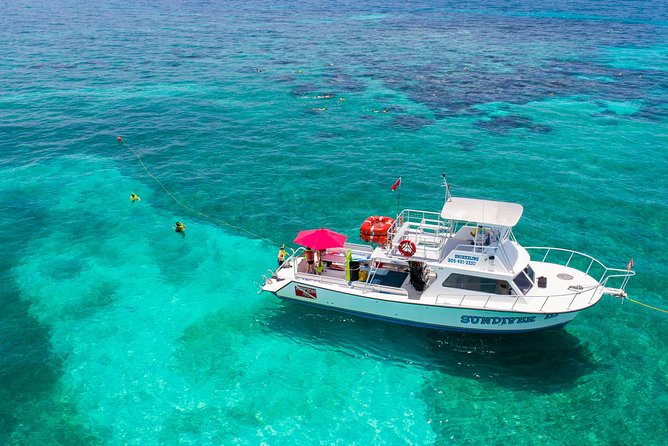Key Largo Snorkeling Tour - Rental Mask, Fins and Vest INCLUDED - Meeting Point and Check-in