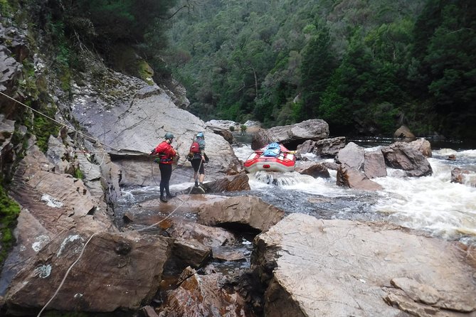 King River Gorge White-Water Rafting Day Tour From Queenstown  - Tasmania - Tour Overview