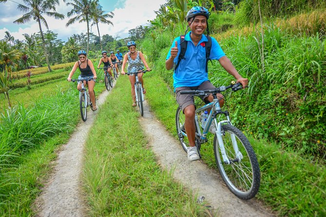 Kintamani Guided Bike Tour With Lunch, Tegalalang, and Batur  - Ubud - Customer Reviews and Feedback
