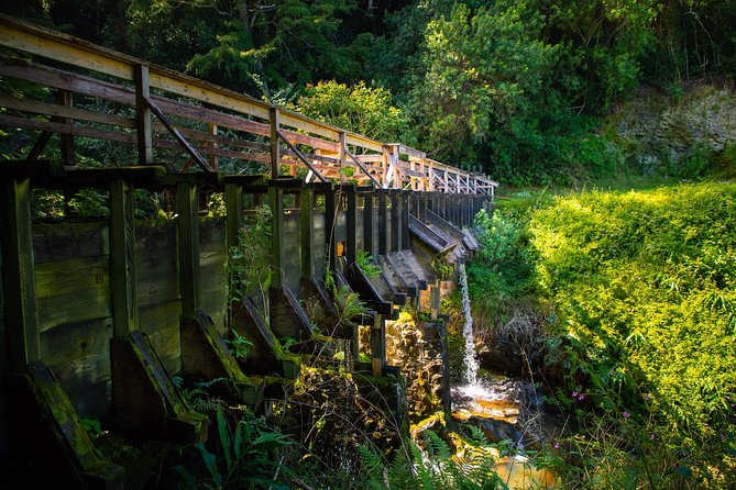 Kohala Waterfalls Small Group Adventure Tour - Booking Information