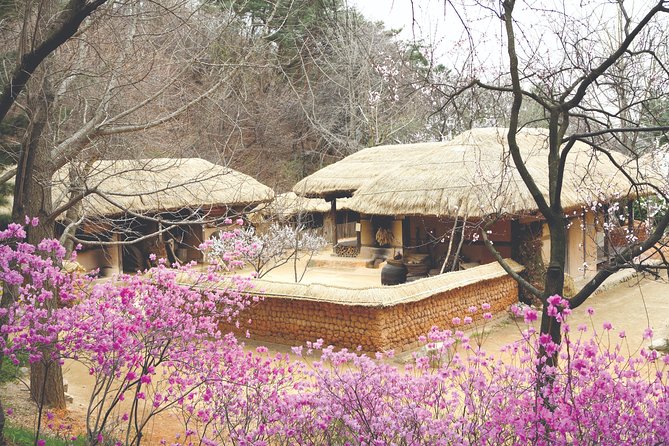 Korean Folk Village Private Tour - Booking Details