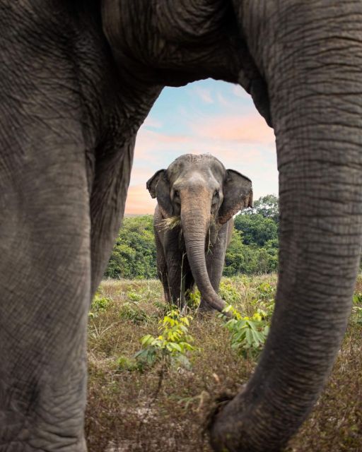 Kulen Elephant Forest and Tonle Sap Lake With Special Option - Pickup Information