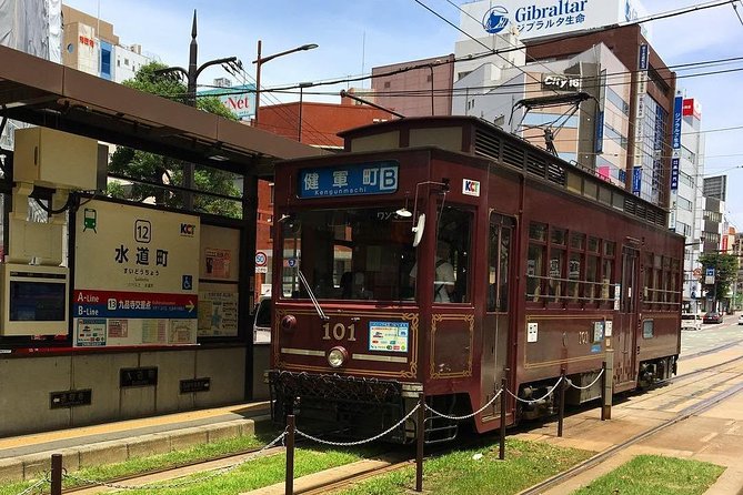 Kumamoto Half-Day Private Tour With Government-Licensed Guide - Pickup and Transportation