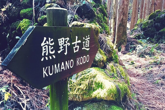 Kumano Kodo Pilgrimage Tour With Licensed Guide & Vehicle - Traveler Photos and Reviews